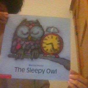 The Sleepy Owl, childrens book by Marcus Pfister.